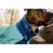 Ruffwear Dirtbag Dog Drying Towel Aurora Teal (X Small) Ruffwear - Dynamic Drive
