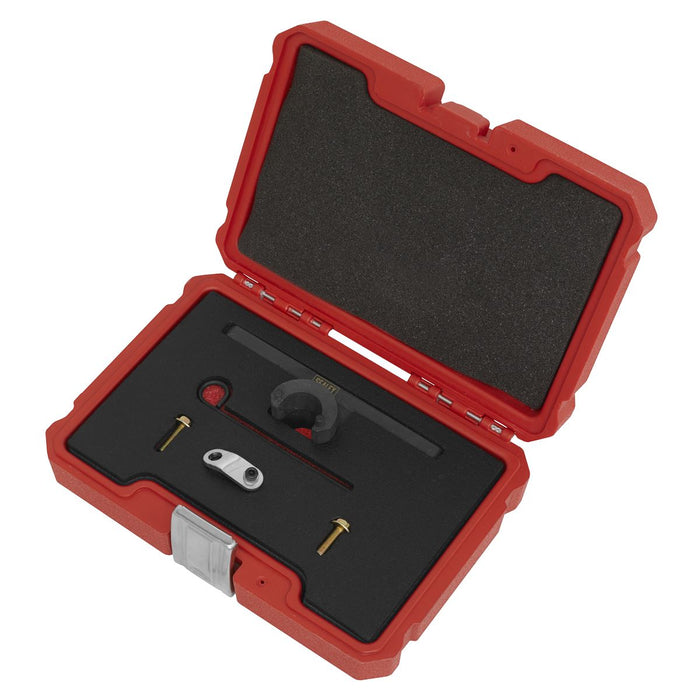 Sealey Oil Pump & Balance Shaft Alignment Kit for BMW 2.0 N20/N26 Chain Drive Sealey - Dynamic Drive