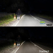 Ring Xenon150 H1 12v Car 150% Brighter Upgrade Bulbs Headlight Headlamp Ring  - Dynamic Drive