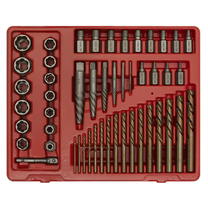 Sealey Master Extractor Set 49pc AK8149 Sealey - Dynamic Drive