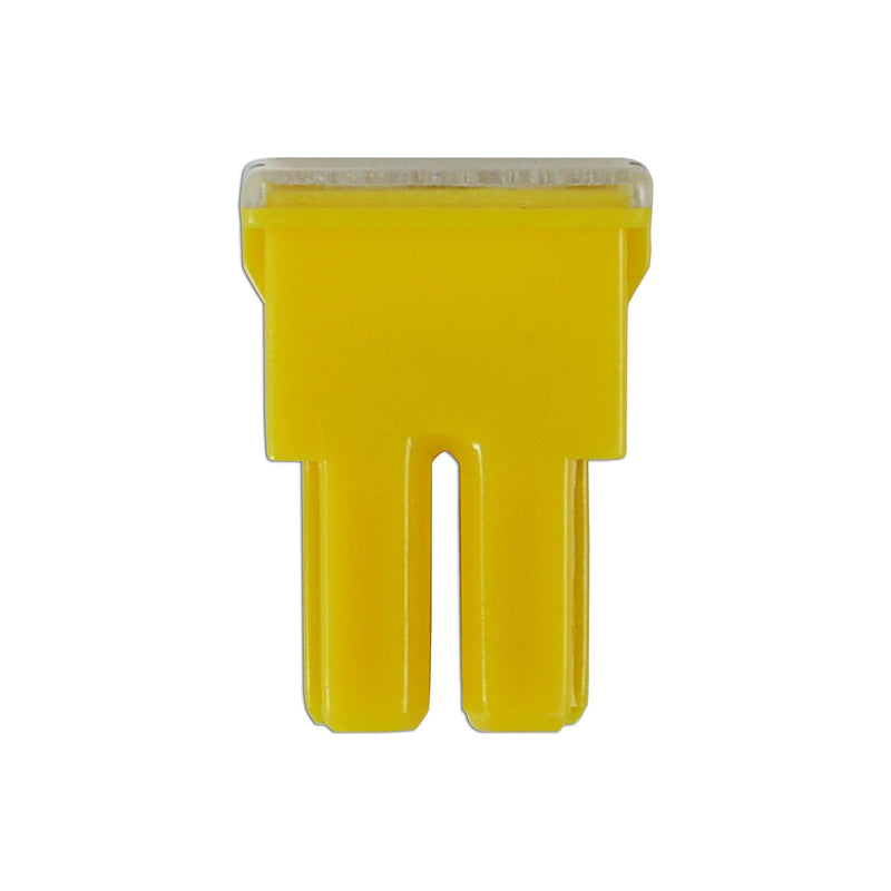 Connect Female PAL Fuses 60A 10pc 30479 Tool Connection - Dynamic Drive