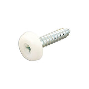 Connect Number Plate Screw 10 x 1" White Polytop 100pc 31546 Tool Connection - Dynamic Drive