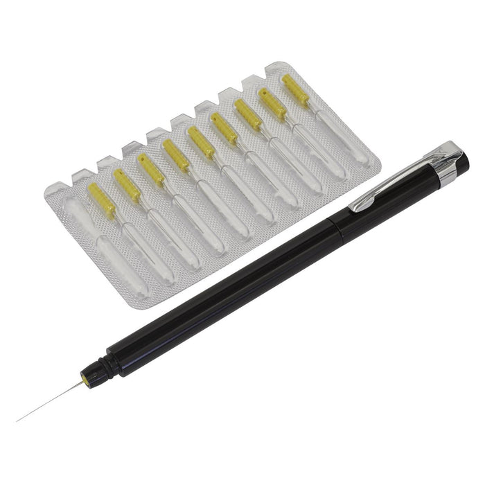 Sealey Paint Dirt Removal Pen with Needle Set MK78 Sealey - Dynamic Drive