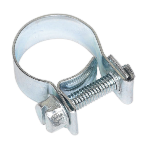 Sealey Mini Hose Clip15-17mm Pack of 20 MHC1517 Sealey - Dynamic Drive
