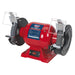 Sealey Bench Grinder & Vice Stand Deal BGVDSCOMBO4 Sealey - Dynamic Drive