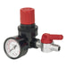 Sealey Air Regulator 1/4"BSP Female 1/4"BSP Male SA5/RG/14 Sealey - Dynamic Drive