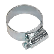Sealey HI-GRIP Hose Clip Zinc Plated 22-30mm Pack of 20 HCJ1A Sealey  - Dynamic Drive