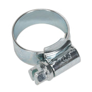 Sealey HI-GRIP Hose Clip Zinc Plated 13-20mm Pack of 30 HCJ00 Sealey  - Dynamic Drive