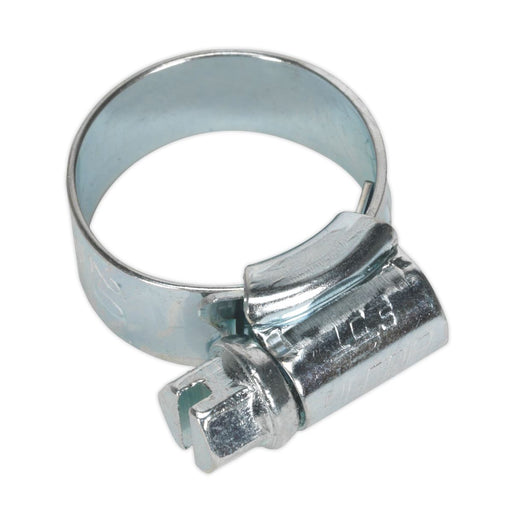 Sealey HI-GRIPï Hose Clip Zinc Plated13-20mm Pack of 30 HCJ00 Sealey - Dynamic Drive
