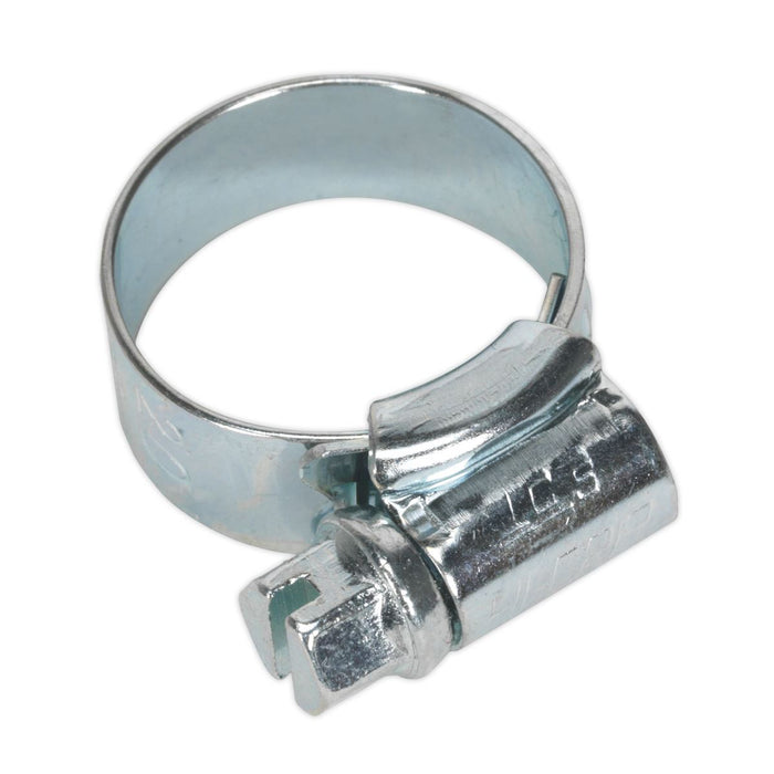 Sealey HI-GRIP Hose Clip Zinc Plated 13-20mm Pack of 30 HCJ00 Sealey  - Dynamic Drive