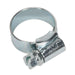 Sealey HI-GRIP Hose Clip Zinc Plated 13-20mm Pack of 30 HCJ00 Sealey  - Dynamic Drive