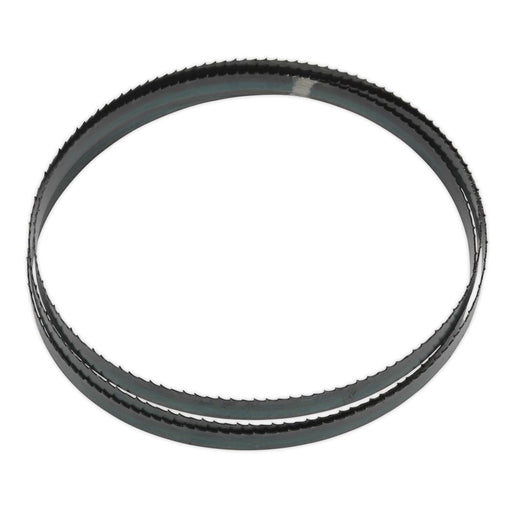 Sealey Bandsaw Blade 1638 x 13 x 0.63mm 6tpi SM5/113/6 Sealey - Dynamic Drive