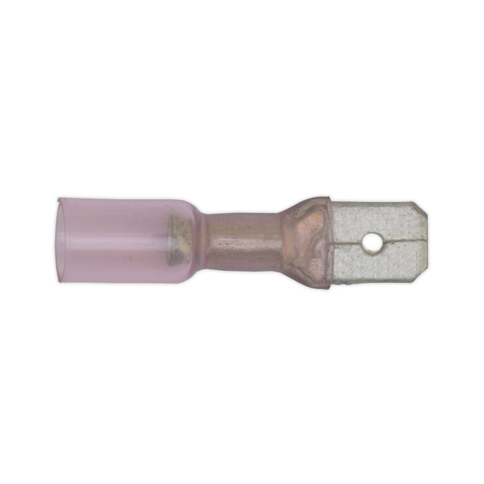 Sealey Clip Strip Deal - Heat Shrink Terminals MHSTSET Sealey - Dynamic Drive