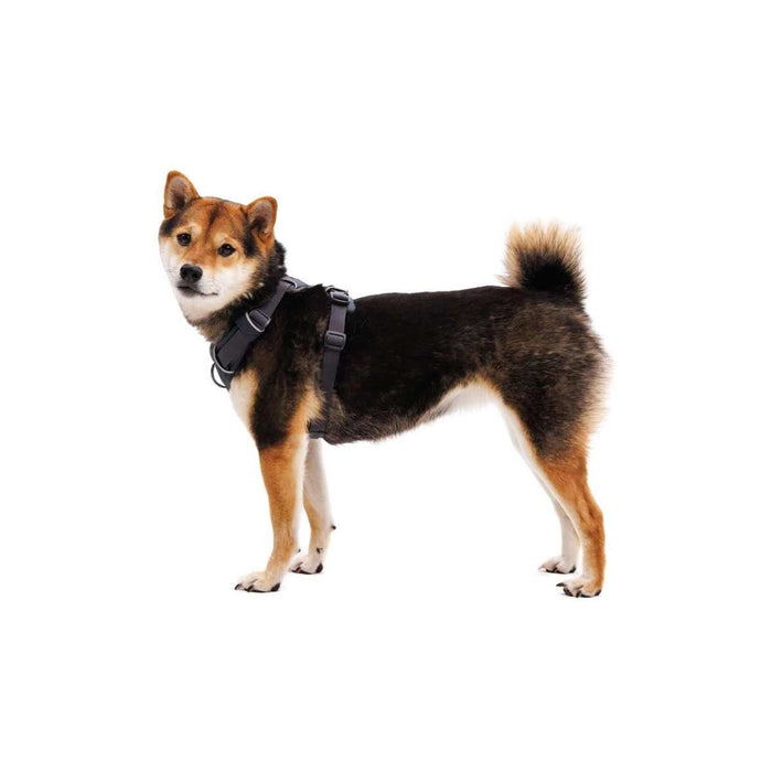 Ruffwear Front Range Dog Harness in Basalt Grey (Medium) Ruffwear - Dynamic Drive
