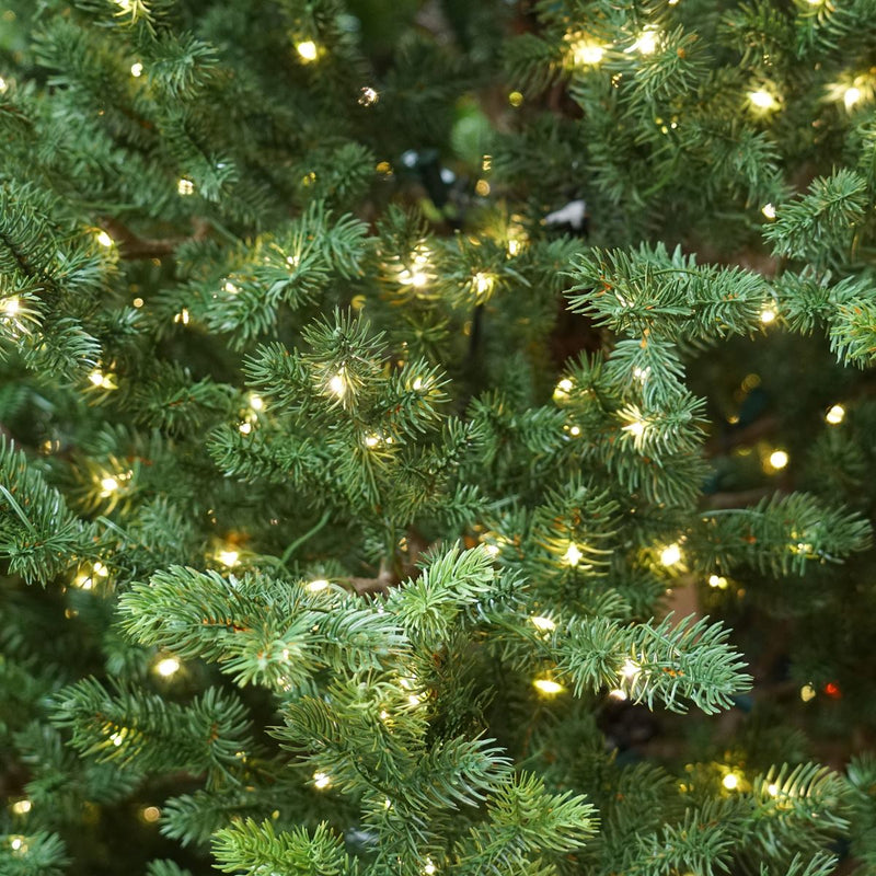 Dellonda Pre-Lit 5ft Hinged Christmas Tree with Warm White LED Lights & PE/PVC Tips Dellonda - Dynamic Drive
