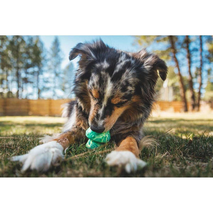 Ruffwear Toadstool Dog Toy in Moss Green (One Size) Ruffwear - Dynamic Drive