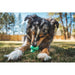 Ruffwear Toadstool Dog Toy in Moss Green (One Size) Ruffwear - Dynamic Drive