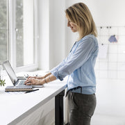Dellonda Single Motor Adjustable-Height Electric Sit/Stand Desk - White Desktop Dellonda - Dynamic Drive