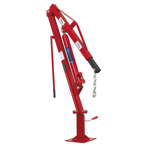 Sealey Static Mounted Crane 750kg SSC750 Sealey - Dynamic Drive