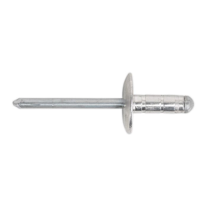 Sealey Clip Strip Deal - Aluminium Rivets RVSET Sealey - Dynamic Drive