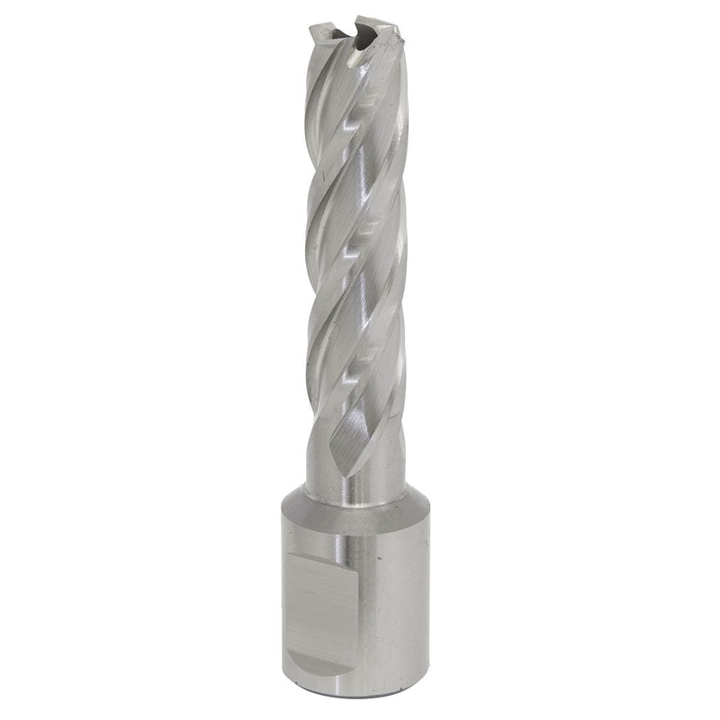 Sealey Rotabor Cutter HSS13mm Cut Depth 50mm RBHSS13L Sealey - Dynamic Drive