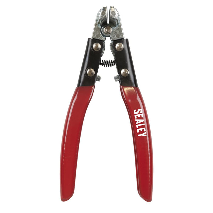 Sealey Terminal Spreader & Cleaner Tool Battery AK423 Sealey - Dynamic Drive