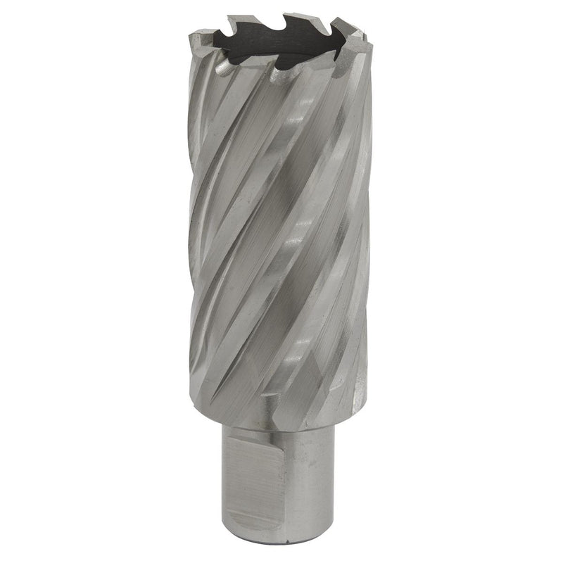 Sealey Rotabor Cutter HSS29mm Cut Depth 50mm RBHSS29L Sealey - Dynamic Drive