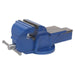 Sealey Professional Vice Stand Deal BGVDSCOMBO1 Sealey - Dynamic Drive