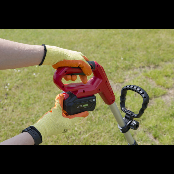 Sealey Cordless Grass Strimmer 20V Lawn Cutter Garden 4Ah Battery and Charger Sealey  - Dynamic Drive