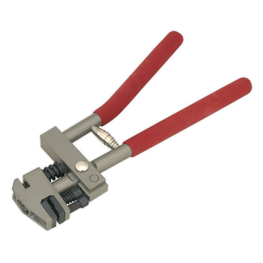 Sealey Joggler/Flanging & Punch Tool RE92/31 Sealey - Dynamic Drive