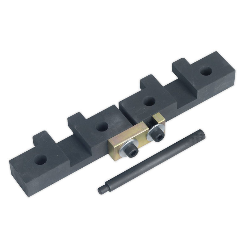 Sealey Petrol Engine Timing Tool Kit for BMW M42/M50/M52/M52TU/M54/M56 Chain Dri Sealey - Dynamic Drive