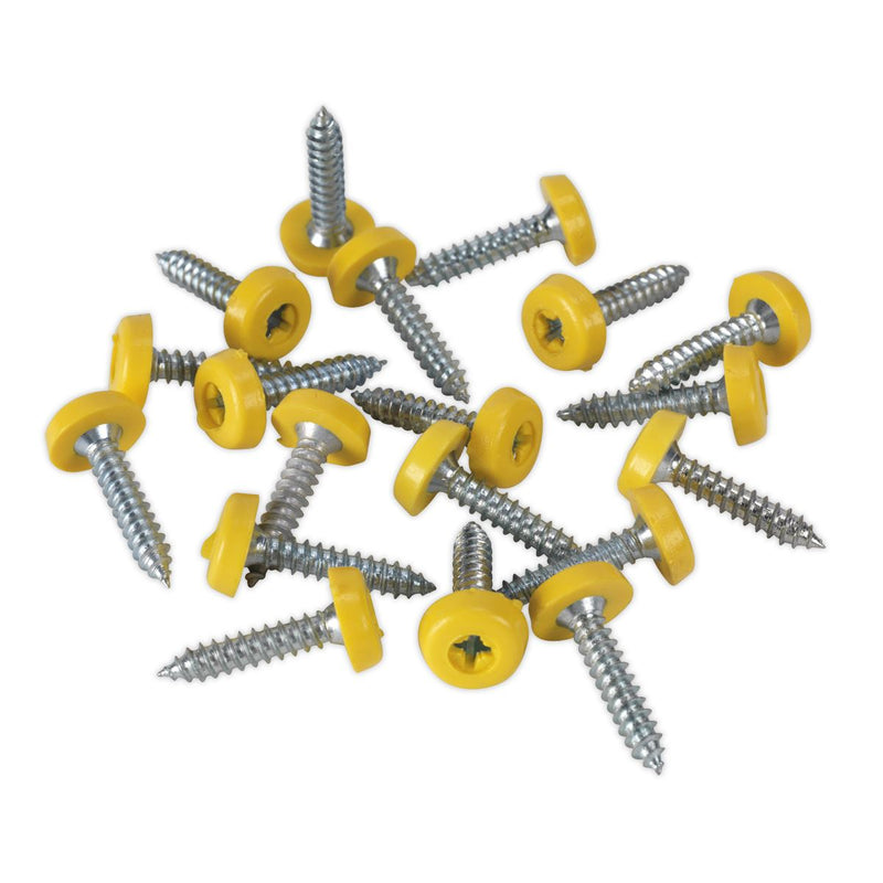 Sealey Clip Strip Deal - Mixed Numberplate Screws NPSSET Sealey - Dynamic Drive