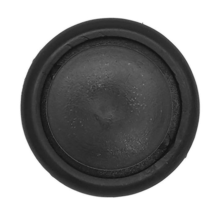 Sealey Push Rivet20mm x 19mm Honda & Toyota Pack of 20 TCPR2015J Sealey - Dynamic Drive