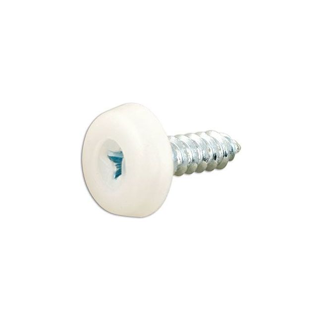 Connect Number Plate Screw 10 x 3/4" White Polytop 100pc 31542 Tool Connection - Dynamic Drive