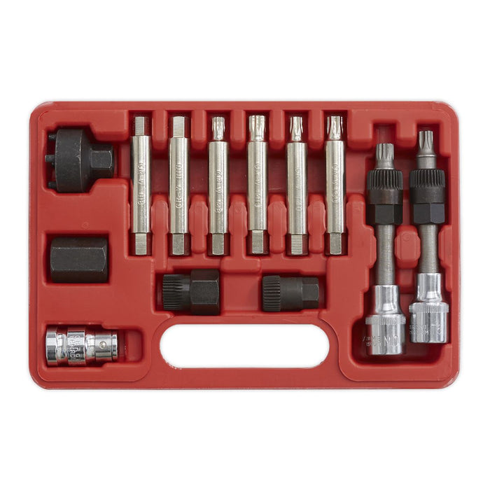 Sealey Alternator Freewheel Removal Set 13pc SX401 Sealey - Dynamic Drive