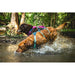 Ruffwear Flagline Dog Harness with Handle in Basalt Grey (X Small) Ruffwear - Dynamic Drive