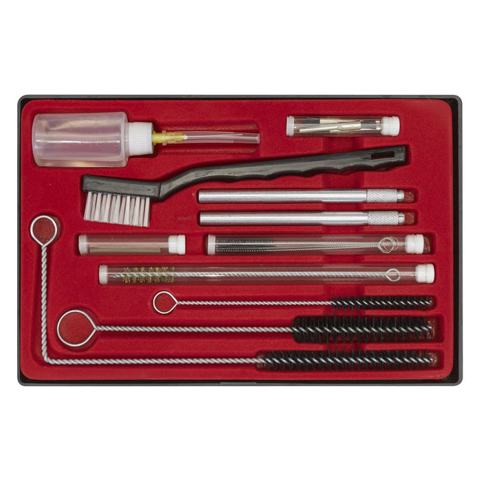 Sealey Spray Gun Cleaning Set 22pc BSGC5 Sealey - Dynamic Drive