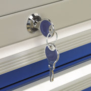 Sealey Cabinet Industrial 5 Drawer API5655B Sealey - Dynamic Drive