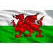 Sealey Wales Graphics 7 Drawer Rollcab Kit AP26479TBWALES Sealey - Dynamic Drive