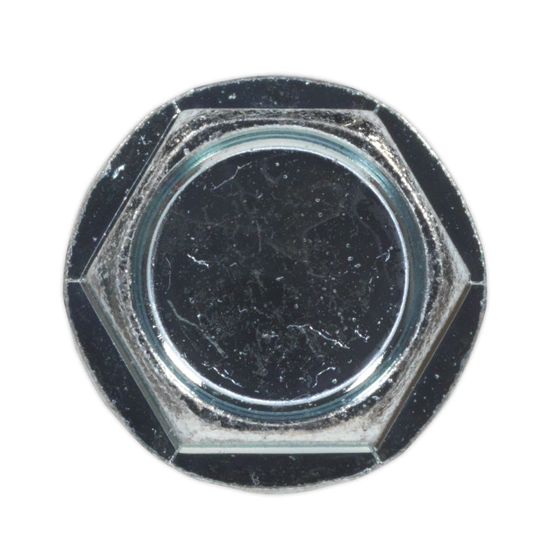 Sealey Self Drilling Screw 4.2 x 19mm Hex Head Zinc Pack of 100 SDHX4219 Sealey - Dynamic Drive
