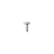 Connect Number Plate Screw 10 x 3/4" White Polytop 100pc 31542 Tool Connection - Dynamic Drive