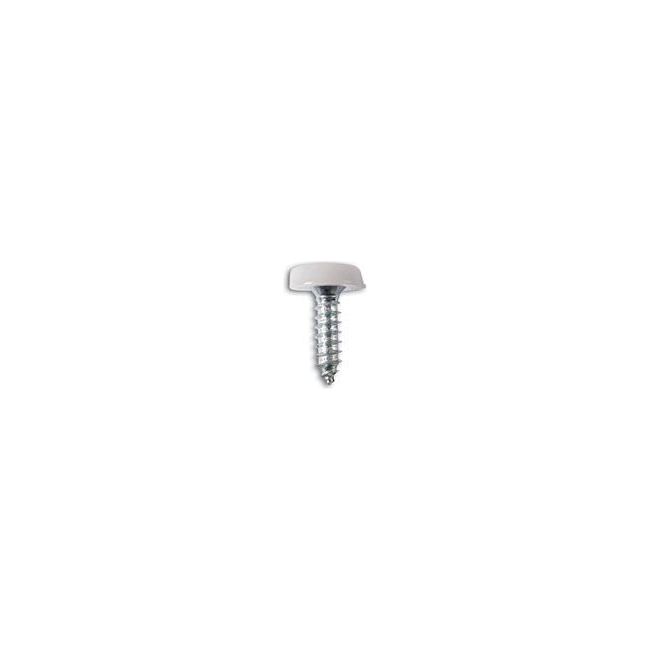 Connect Number Plate Screw 10 x 3/4" White Polytop 100pc 31542 Tool Connection - Dynamic Drive