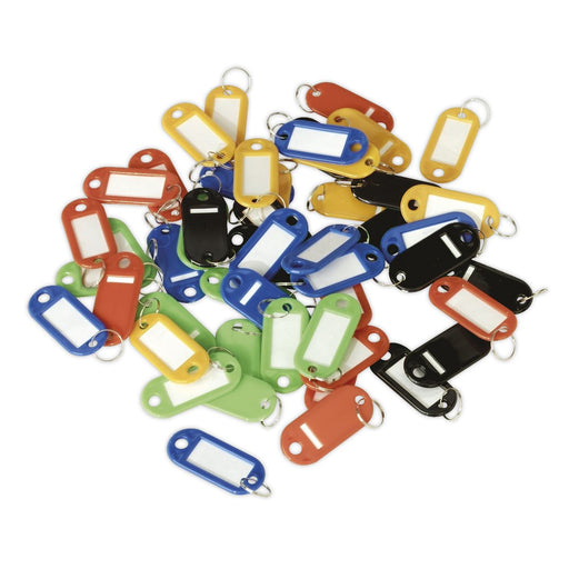 Sealey Key Tag Assortment 50pc SKTAG50 Sealey - Dynamic Drive