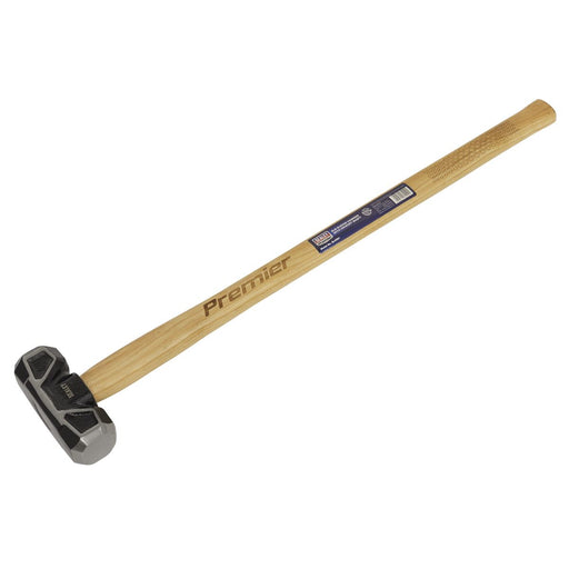 Sealey Sledge Hammer 6lb Hickory Shaft SLH061 Sealey - Dynamic Drive