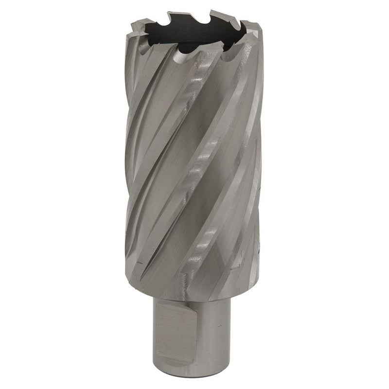 Sealey Rotabor Cutter HSS33mm Cut Depth 50mm RBHSS33L Sealey - Dynamic Drive