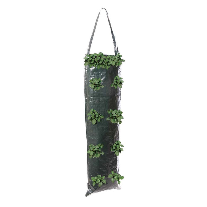 Silverline Hanging Grow Tube 2pk 700 x 220mm Silverline - Dynamic Drive