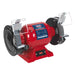 Sealey Bench Grinder & Vice Stand Deal BGVDSCOMBO4 Sealey - Dynamic Drive