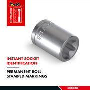 Teng Tools 1/2" TX-E Socket E20 Teng Tools - Dynamic Drive