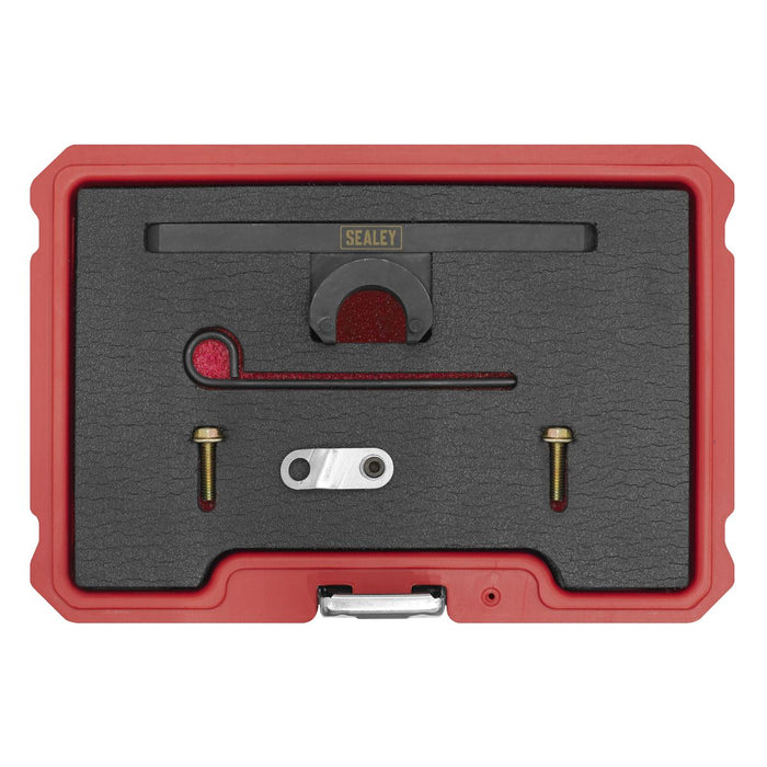 Sealey Oil Pump & Balance Shaft Alignment Kit for BMW 2.0 N20/N26 Chain Drive Sealey - Dynamic Drive