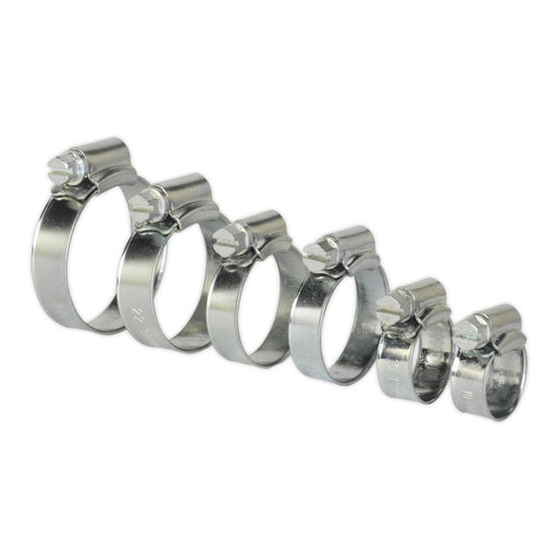 Sealey Hose Clip Assortment 30pc8-29mm Zinc Plated SHCS1 Sealey - Dynamic Drive